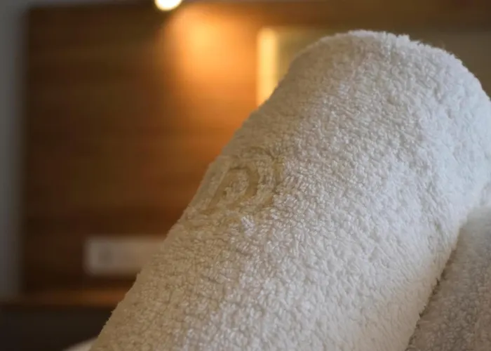 Dioscuri Luxury 公寓 *